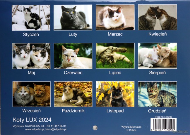 Kalendarz 2024 Koty lux ścienny [KALENDARZ]