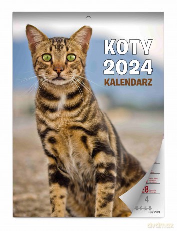 Kalendarz 2024 Koty ścienny [KALENDARZ]