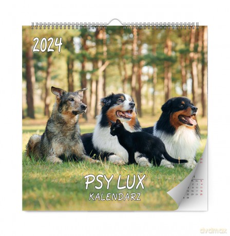 Kalendarz 2024 Psy lux ścienny [KALENDARZ]