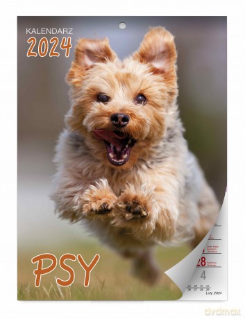 Kalendarz 2024 Psy ścienny [KALENDARZ]