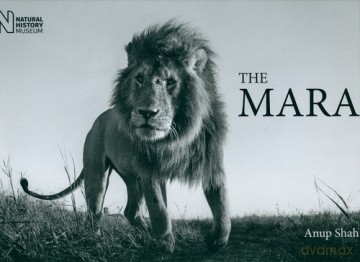 The Mara - Anup Shah [KSIĄŻKA]