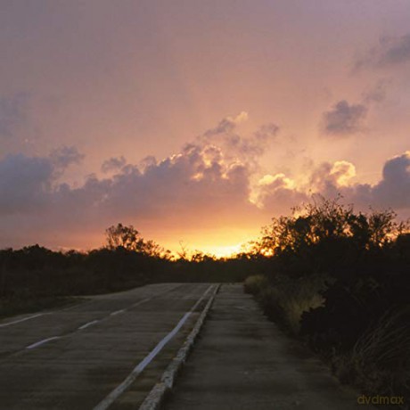 Celer: Future Predictions [CD]