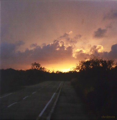 Celer: Future Predictions [CD]