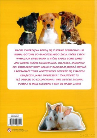 Małe zwierzątka [KSIĄŻKA]