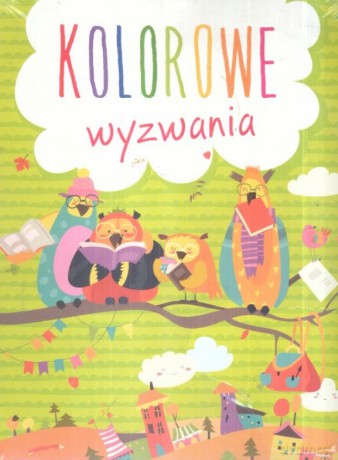 Teczka kolorowe wyzwania [KSIĄŻKA]
