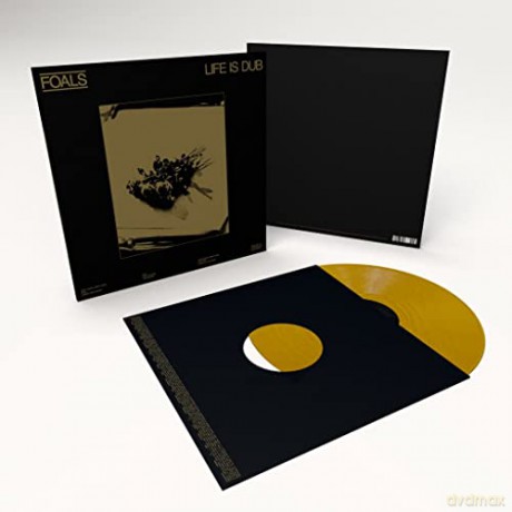 Foals: Life Is Dub (Gold Album RSD 2023) [Winyl]