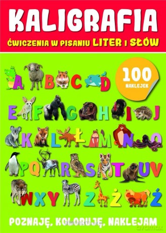 Kaligrafia ćwiczenia w pisaniu z naklejkami [KSIĄŻKA]