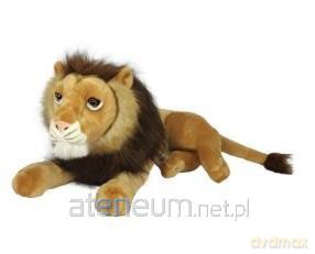 Lew 71 cm