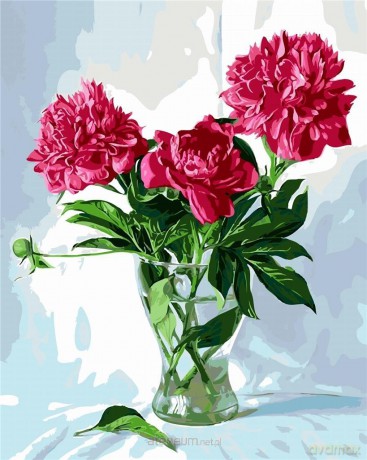 Malowanie po numerach - Bukiet piwonii 40x50 cm