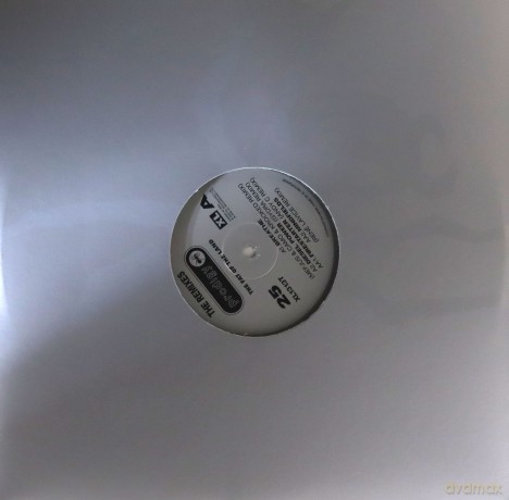 The Prodigy: The Fat Of The Land - Remixes [Winyl]