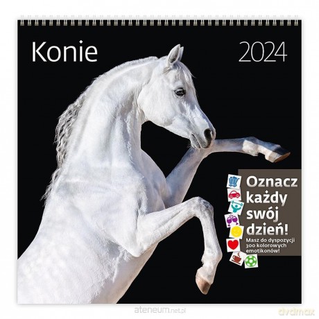 Kalendarz 2024 30x30 Konie [KALENDARZ]