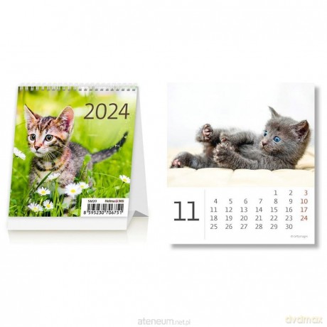 Kalendarz 2024 biurkowy Mini Kotki miesięczny [KALENDARZ]