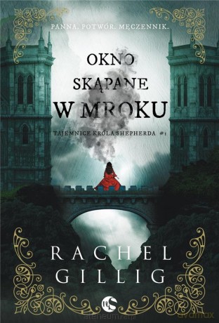 Okno skąpane w mroku - Rachel Gillig [KSIĄŻKA]