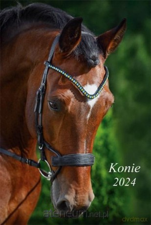 Kalendarz 2024 Ścienny wieloplanszowy Konie [KALENDARZ]