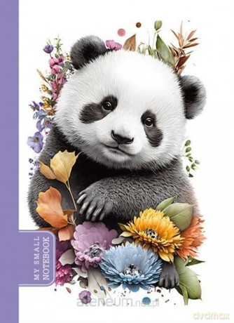 Notatnik ozdobny 105x148/48K gładki Panda