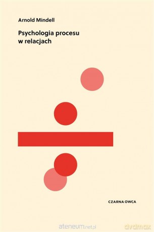 Psychologia procesu w relacjach - Arnold Mindell, Paweł Luboński [KSIĄŻKA]