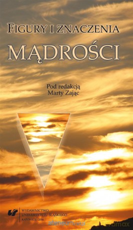Figury i znaczenia mądrości - Marta Zając [KSIĄŻKA]