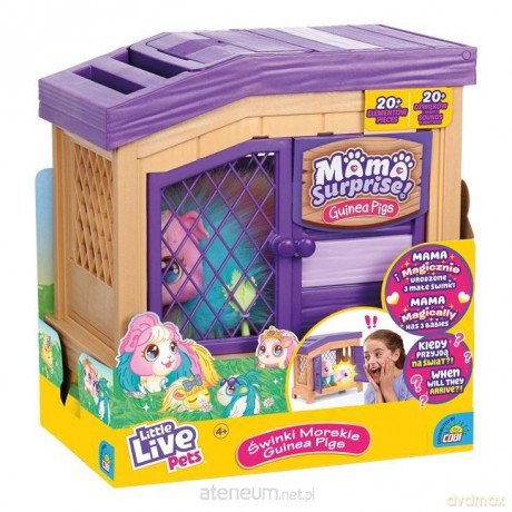 Little Live Pets. Świnka morska Tęcza