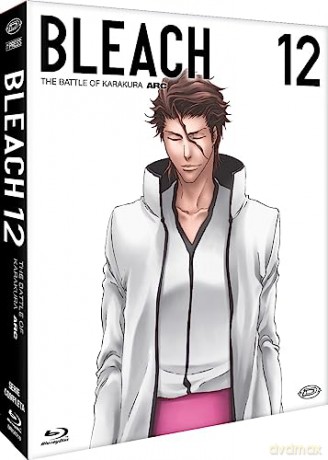 Bleach - Arc 12: The Battle Of Karakura (Eps.213-229) [Blu-Ray]