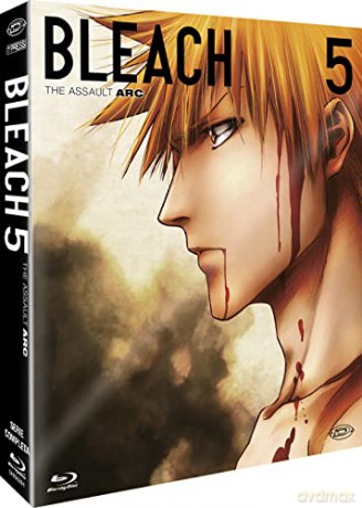 Bleach - Arc 5: The Assault (Eps 92-109) [Blu-Ray]