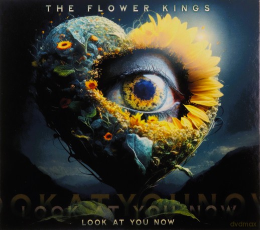 The Flower Kings: Look At You Now (digipack) [CD]