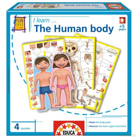 EDUCA The Human body (ang)Ludzkie ciało 15364 [GRA]