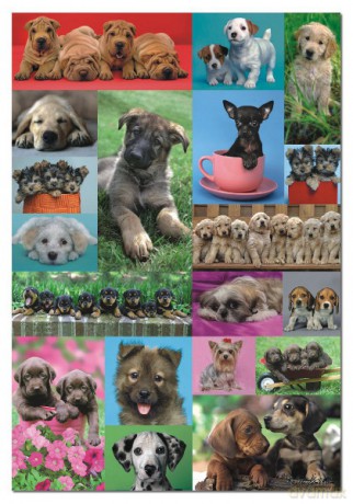 EDUCA 1000 El. PUPPY COLLAGE 14441 [PUZZLE]
