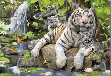 EDUCA 1000 El. TYGRYSY BENGALSKIE 14808 [PUZZLE]