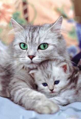 EDUCA 500 El. MOTHER AND CHILD 13758 [PUZZLE]