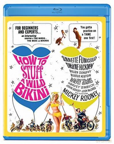 How To Stuff A Wild Bikini [Blu-Ray]