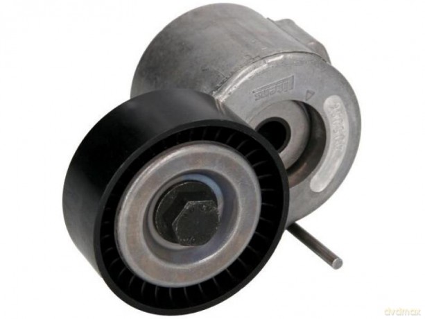 INA 534 0404 10 Napinacz paska klinowego wielorowkowego Opel Fiat Jeep