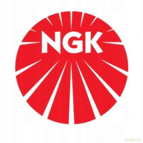 Świeca zapłonowa NGK 5339 Nissan Mazda Hyundai Mitsubishi Kia Subaru