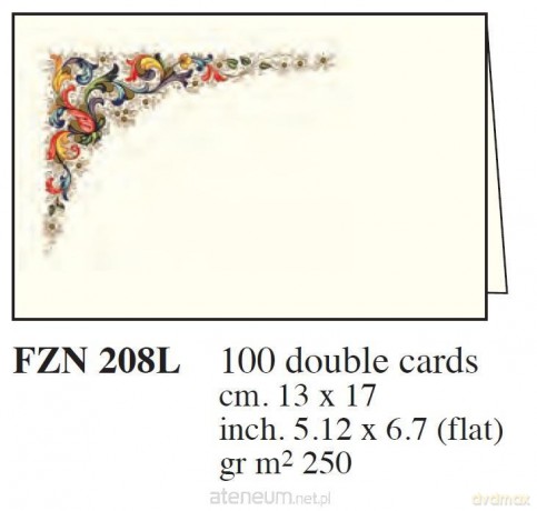 Box 100 Karnetów 13x17cm FZN 208L