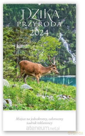 Kalendarz 2024 Reklamowy Dzika przyroda [KALENDARZ]