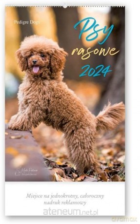 Kalendarz 2024 Reklamowy Psy rasowe [KALENDARZ]