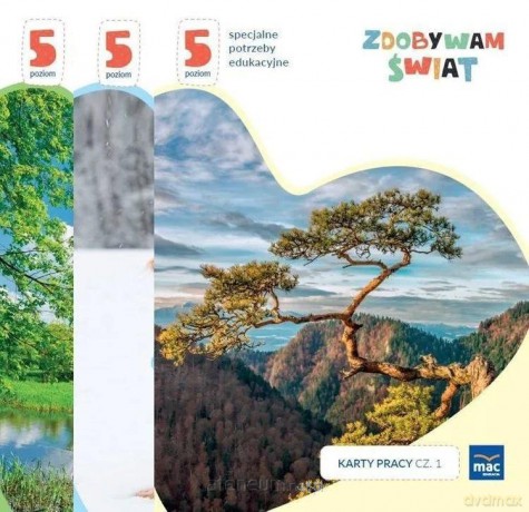 Zdobywam świat. Karty pracy cz.1-3 Poziom 5 - Justyna Hadryś [KSIĄŻKA]