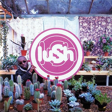 Lush: Lovelife [Winyl]