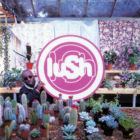 Lush: Lovelife (Limited) [Winyl]