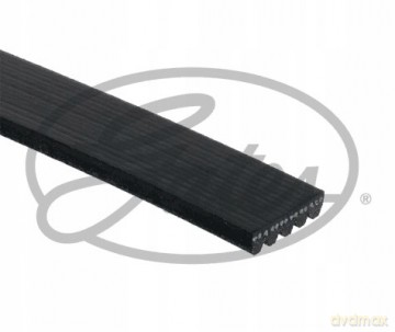 Gates 5PK848 Pasek klinowy wielorowkowy Peugeot Citroen Ford Lancia