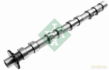 INA 428 0160 10 Wałek rozrządu Peugeot Fiat Citroen Ford Volvo