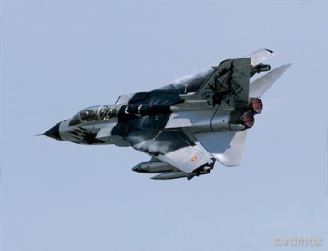 ITALERI Tornado IDS Black Panthers 1291 [MODELARSTWO]