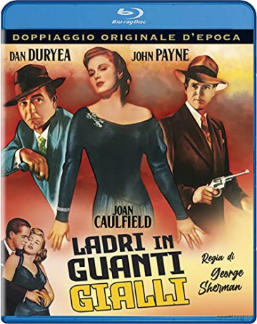 Larceny [Blu-Ray]