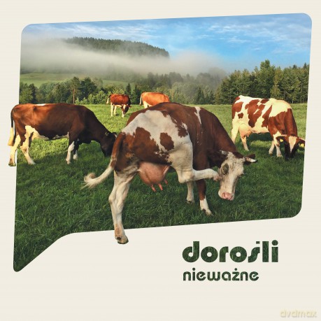 Dorośli: Nieważne (digipack) [CD]