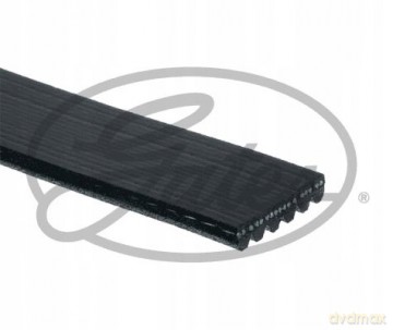 Gates 6PK1560 Pasek klinowy wielorowkowy Peugeot Toyota Citroen Ford Rover Chevrolet