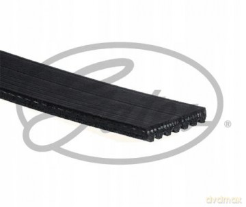 Gates 7PK1078 Pasek klinowy wielorowkowy Fiat Nissan Lancia Alfa Romeo