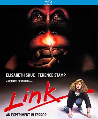 Link [Blu-Ray]