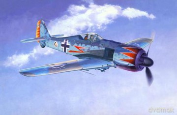 MASTERCRAFT FockeWulf Fw190 Chanel C-2 [MODELARSTWO]