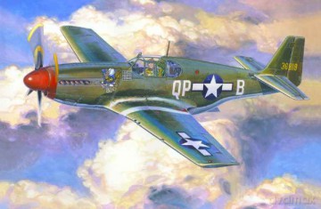 MASTERCRAFT P51 B5 Bee C-48 [MODELARSTWO]