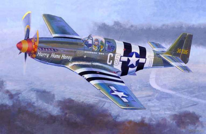 MASTERCRAFT P51 B5 Hurry Home Honey C49 [MODELARSTWO]