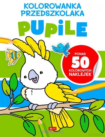 Kolorowanka przedszkolaka. Pupile [KSIĄŻKA]